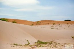 Eden Lodge Eden Lodge - Image 9