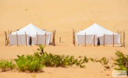 Eden Lodge Eden Lodge - Image 18