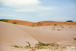 Eden Lodge Eden Lodge - Image 25