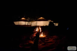 Eden Lodge Nos tentes - Image 1