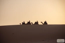 Eden Lodge Les activités - Image 9