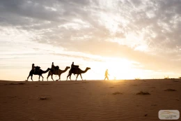 Eden Lodge Les activités - Image 4