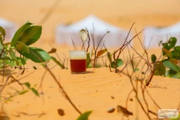 Eden Lodge Bar - Restaurant - Image 13