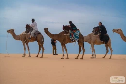 Eden Lodge Les activités - Image 6