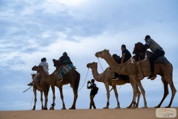 Eden Lodge Les activités - Image 7